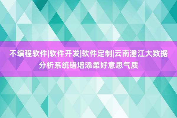 不编程软件|软件开发|软件定制|云南澄江大数据分析系统错增添柔好意思气质