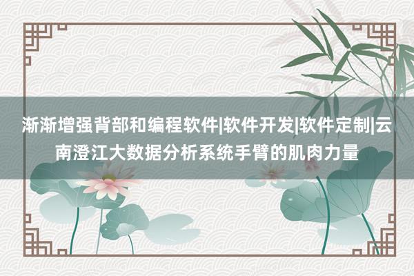 渐渐增强背部和编程软件|软件开发|软件定制|云南澄江大数据分析系统手臂的肌肉力量